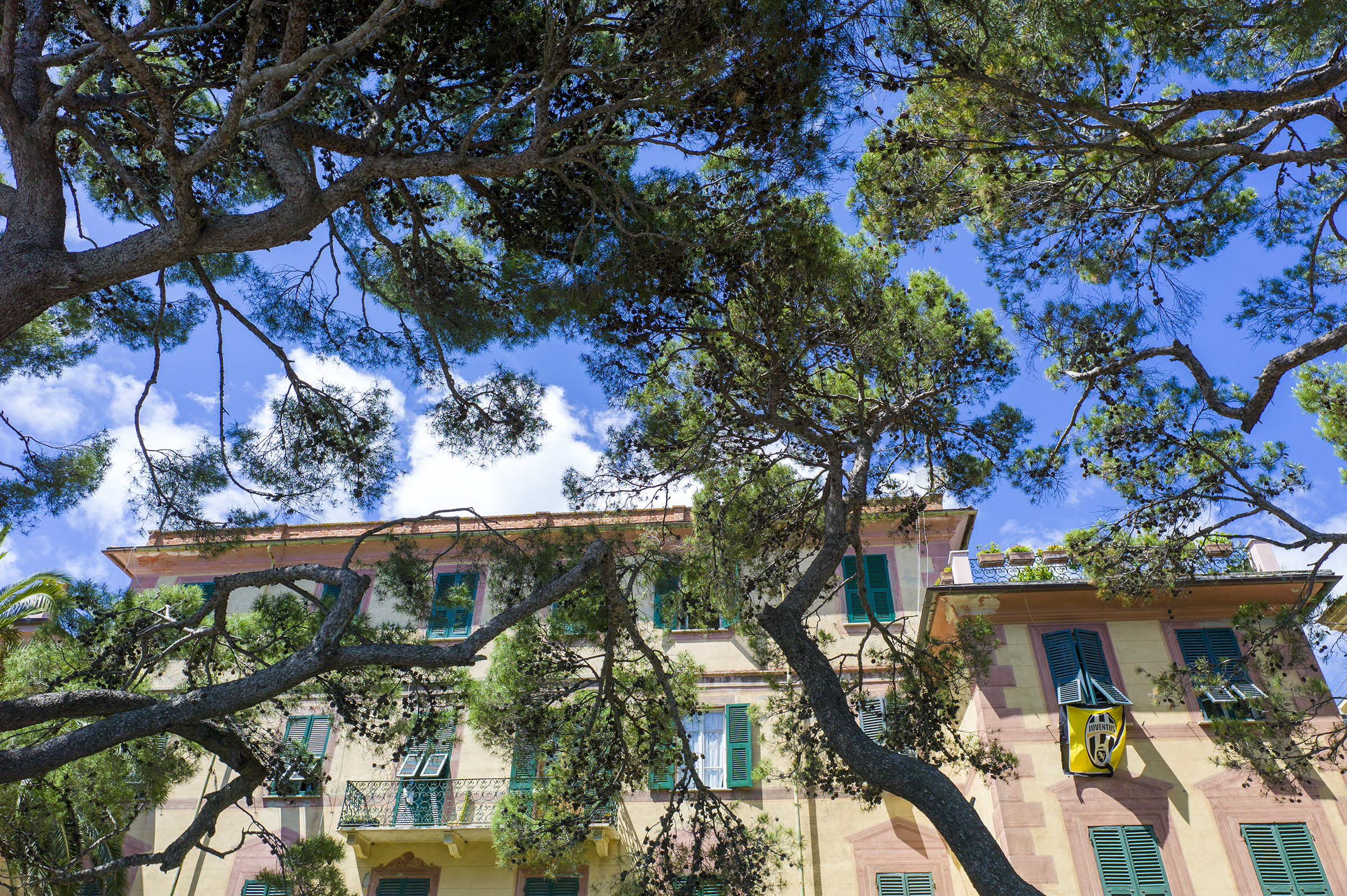 building with trees